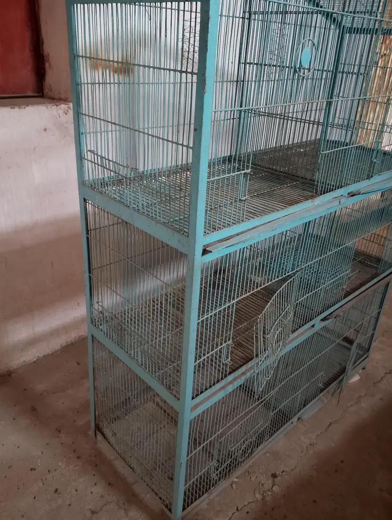 Parrots cage For sale 6 boxes — photo 2