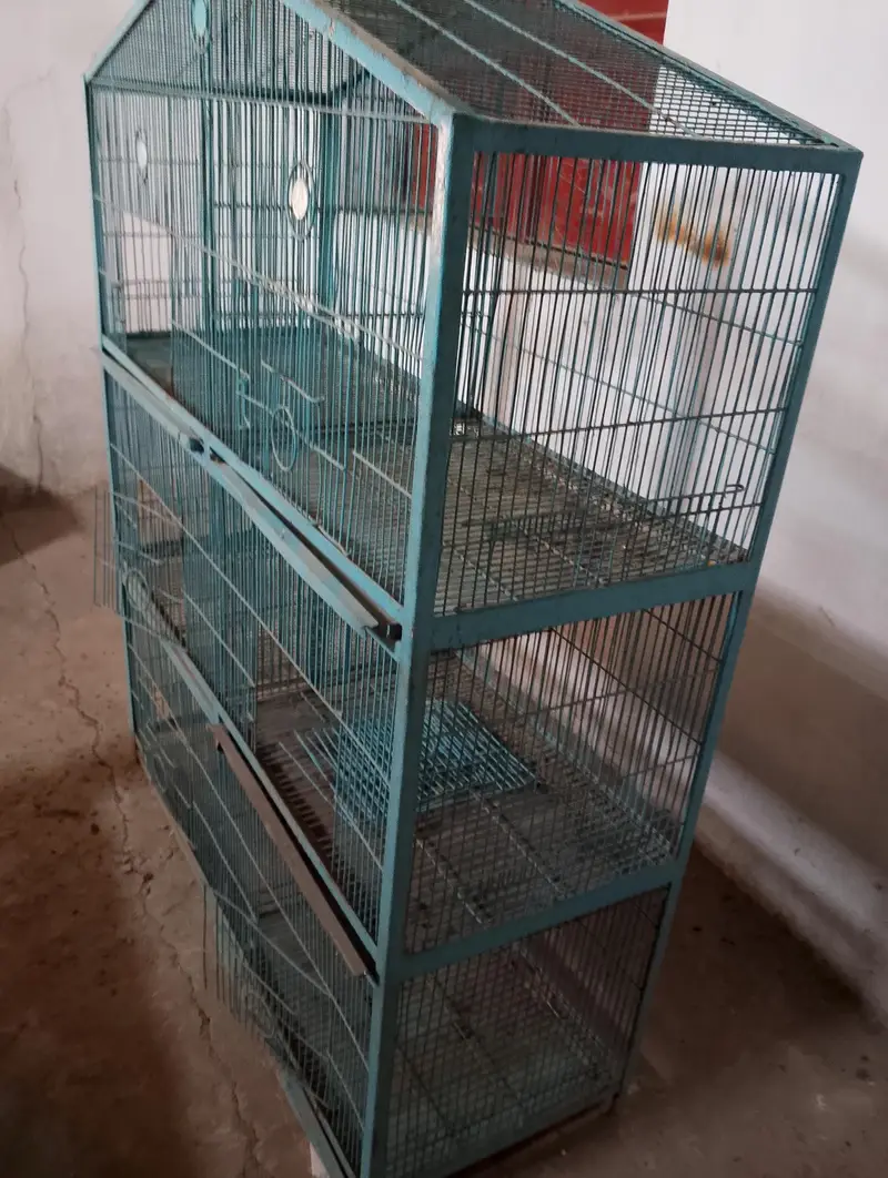 Parrots cage For sale 6 boxes — photo 3