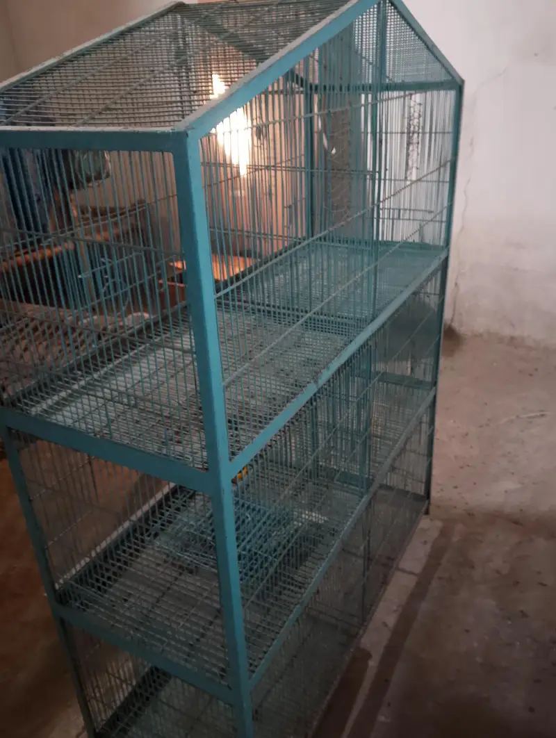 Parrots cage For sale 6 boxes — photo 4
