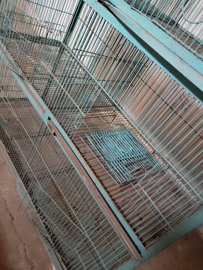 Parrots cage For sale 6 boxes — photo 5