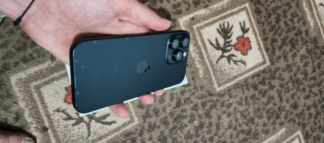 Apple iPhone 16 Pro Max 2