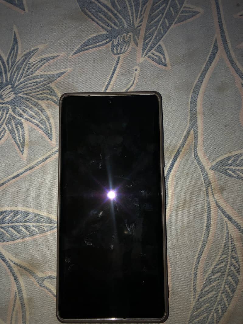 Google Pixel 6 Pro 1