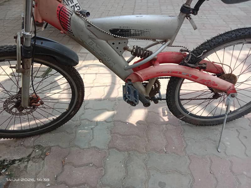 Oscar  bicycle 2
