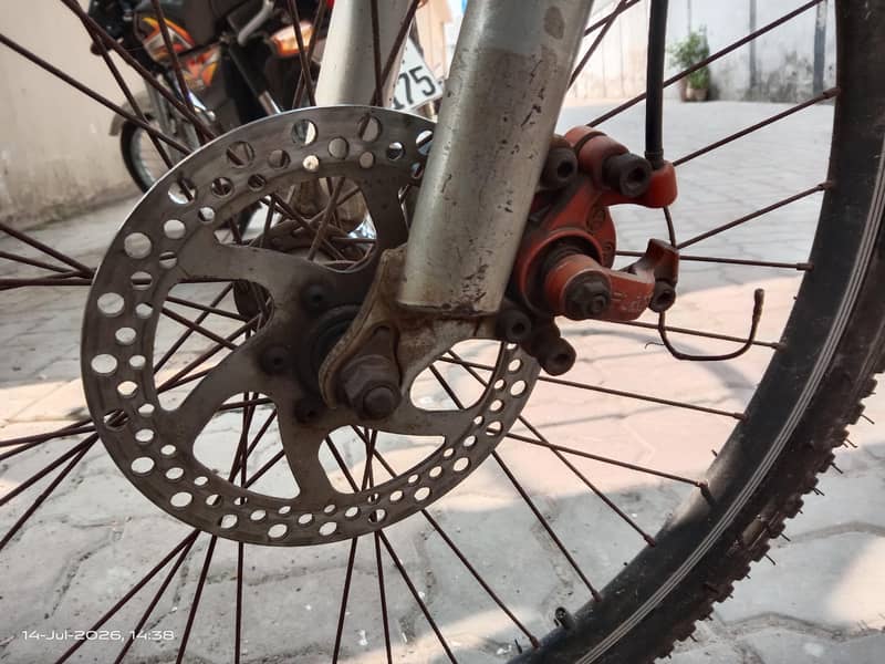 Oscar  bicycle 3
