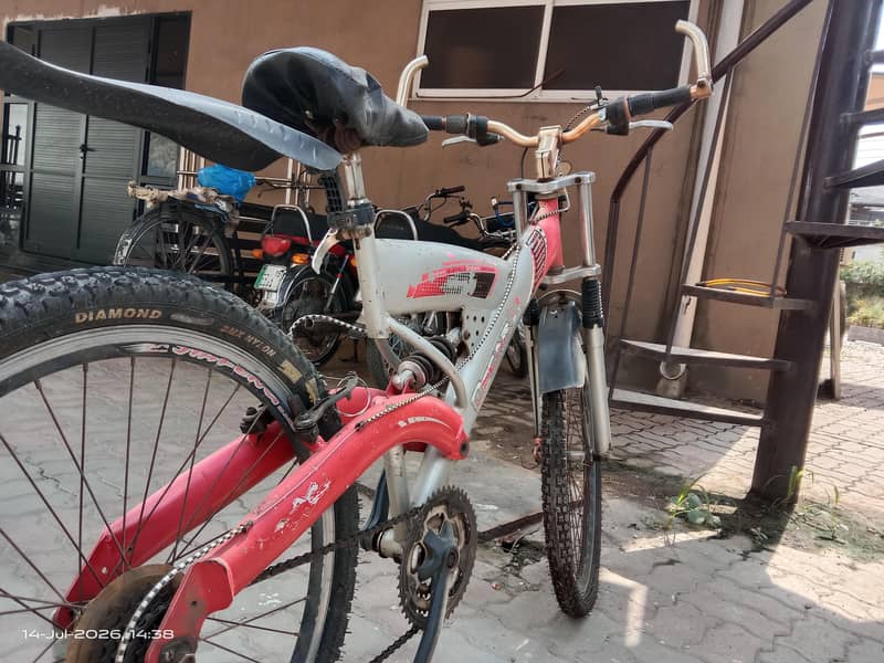 Oscar  bicycle 5