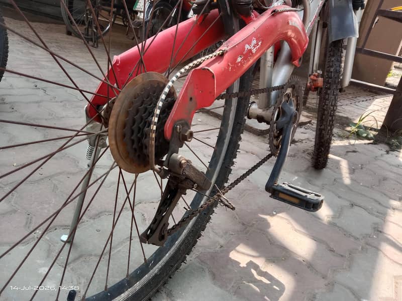 Oscar  bicycle 6