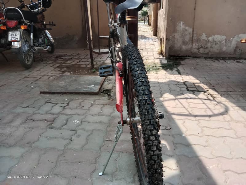 Oscar  bicycle 7