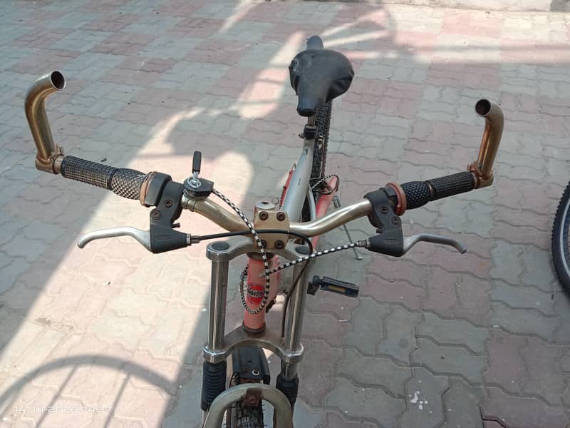 Oscar  bicycle 9