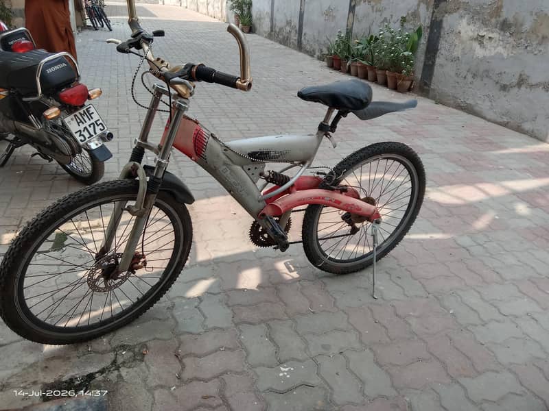 Oscar  bicycle 11