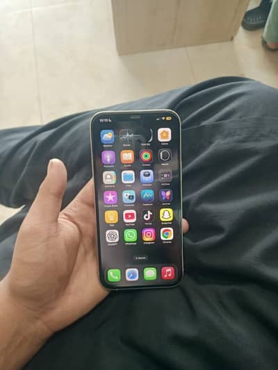 Apple iPhone 12 Pro Max