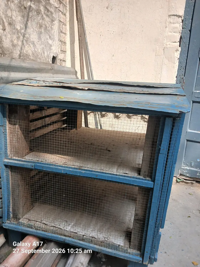CAGE. — photo 3
