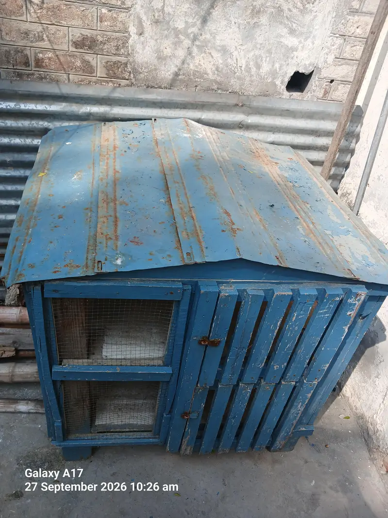CAGE. — photo 4