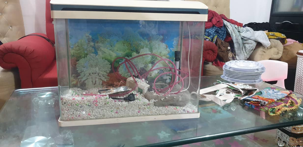 Fish aquarium 2