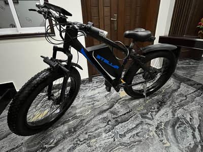 steler electric cycle