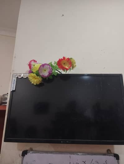 waqas