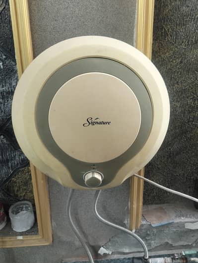 electric geyser
