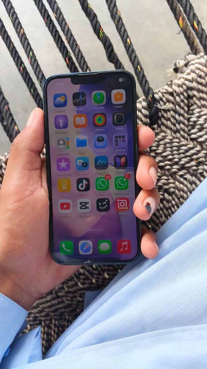 Apple iPhone 13 0
