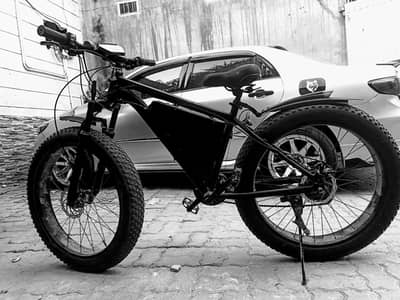 Electric cycle