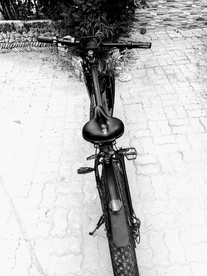 Electric cycle 1