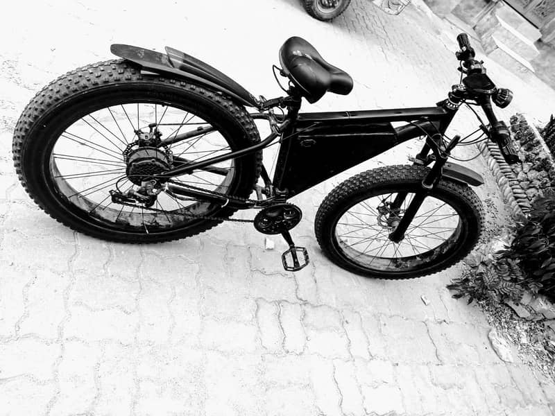 Electric cycle 3