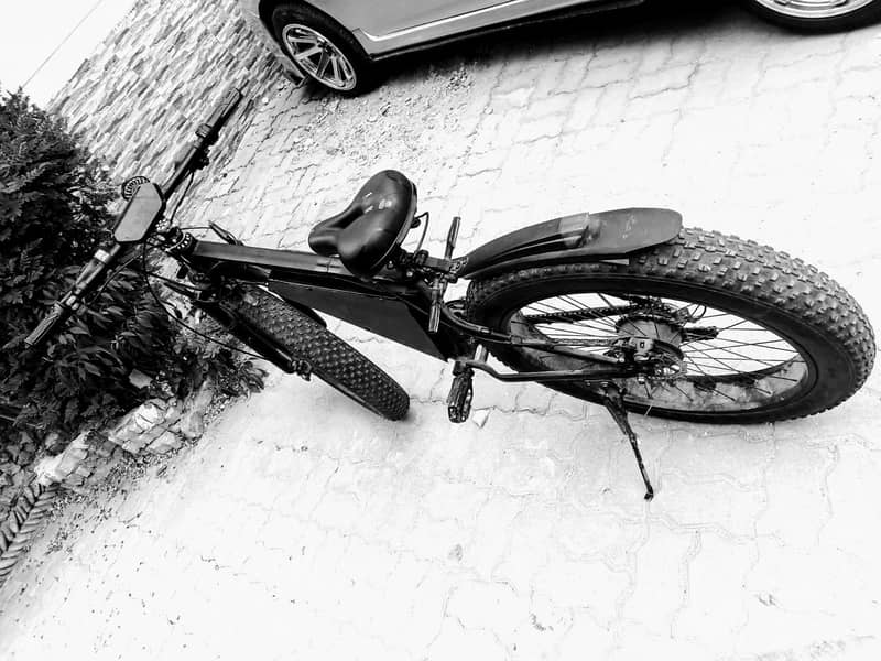 Electric cycle 4