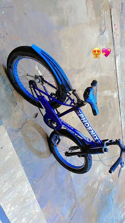 Bicycle for sale