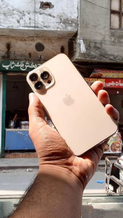 Apple iPhone 13 Pro Max