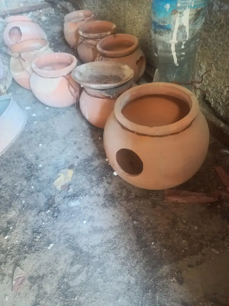 breeding box and doli all 4sell — photo 4