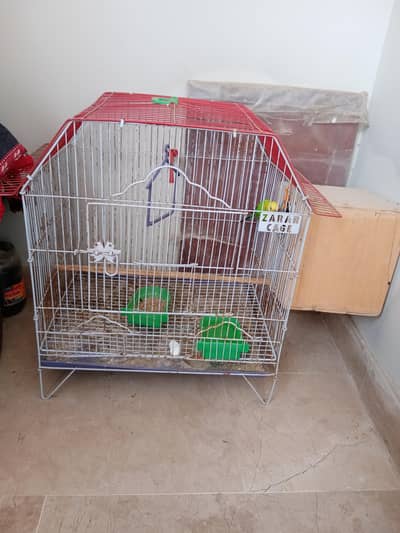 budgie pair with iron cage and wooden breeding box