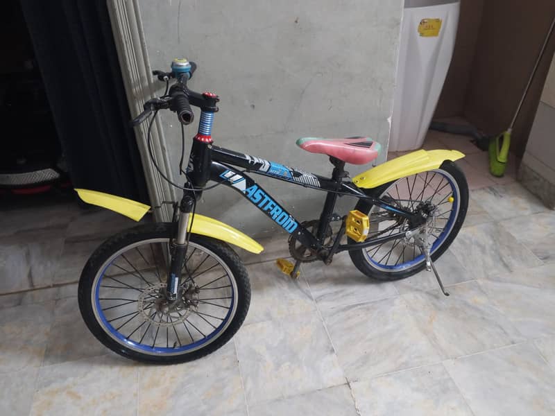 kidz bicyle 1