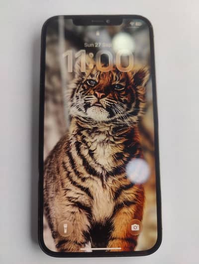 Apple iPhone 12 Pro Max