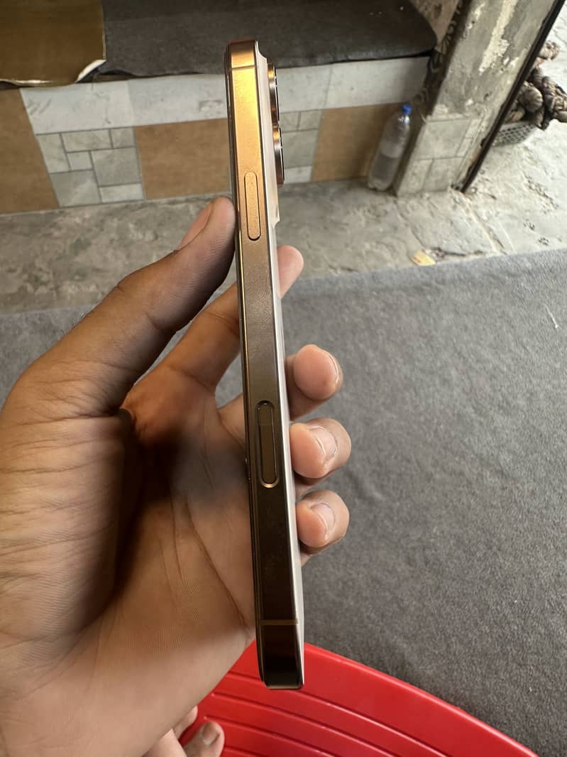 Apple iPhone 16 Pro Max 1