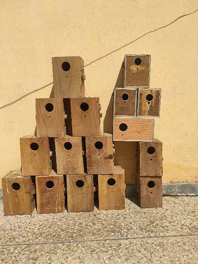 Lovebird boxes, Budgies Boxes, Cages, seed cleaner