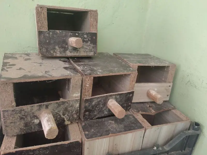 Lovebird boxes, Budgies Boxes, Cages, seed cleaner — photo 2
