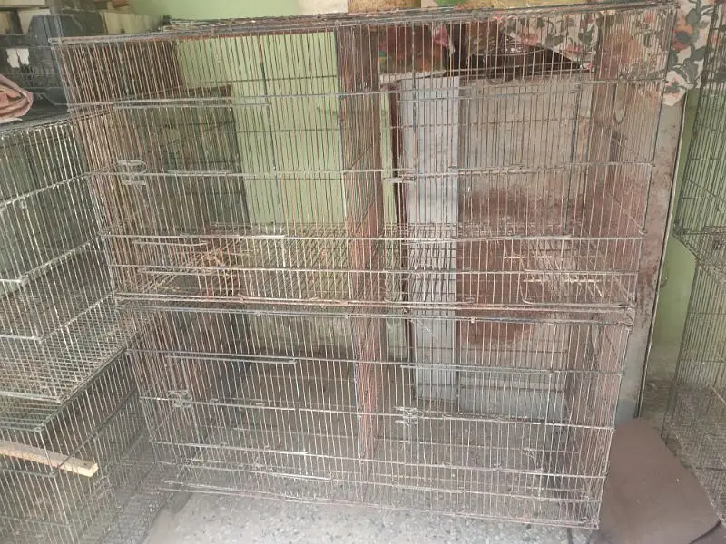 Lovebird boxes, Budgies Boxes, Cages, seed cleaner — photo 3