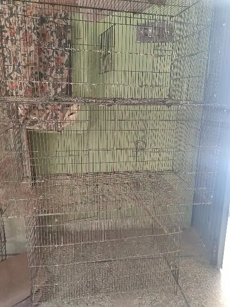 Lovebird boxes, Budgies Boxes, Cages, seed cleaner — photo 4