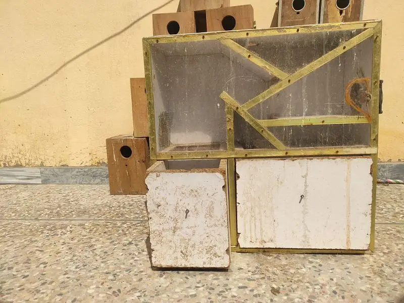 Lovebird boxes, Budgies Boxes, Cages, seed cleaner — photo 5