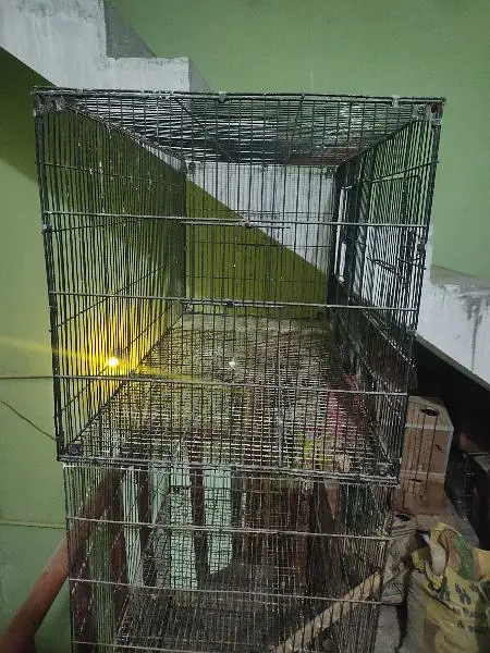 Lovebird boxes, Budgies Boxes, Cages, seed cleaner — photo 6