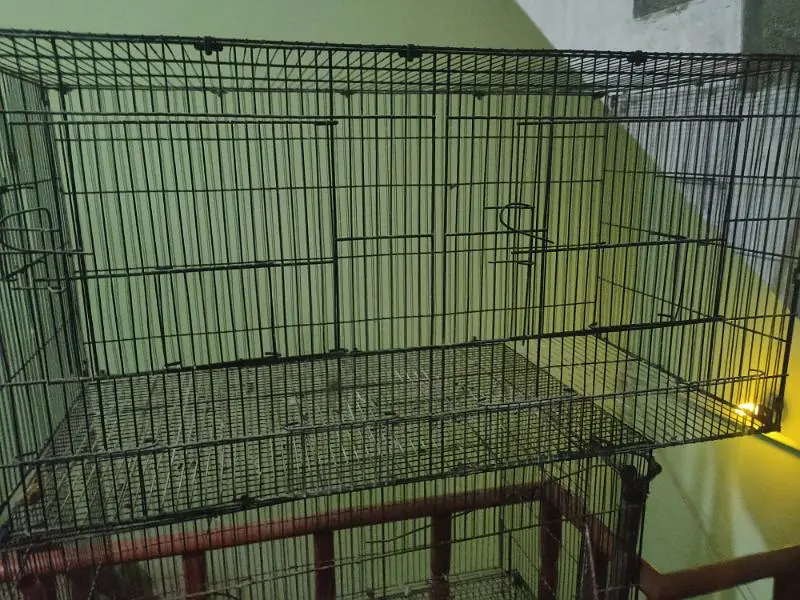 Lovebird boxes, Budgies Boxes, Cages, seed cleaner — photo 7