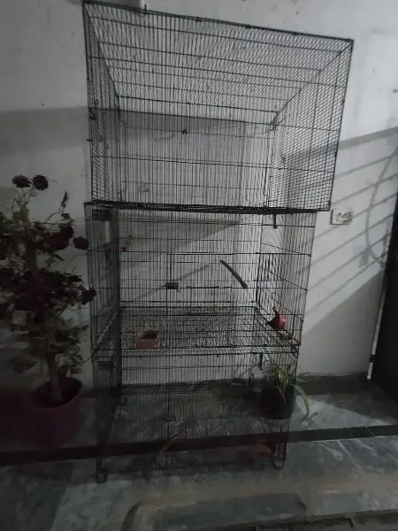 Lovebird boxes, Budgies Boxes, Cages, seed cleaner — photo 9