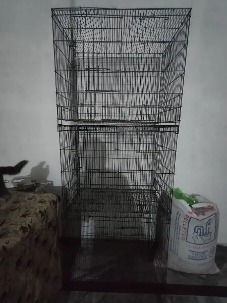 Lovebird boxes, Budgies Boxes, Cages, seed cleaner — photo 10