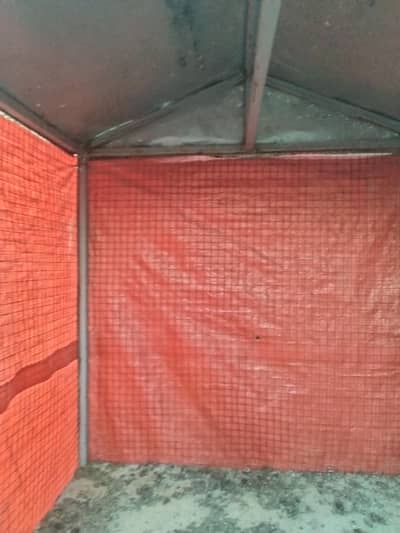 aseel hens cage for sale urgently