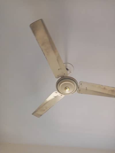 Ceiling fan for sale