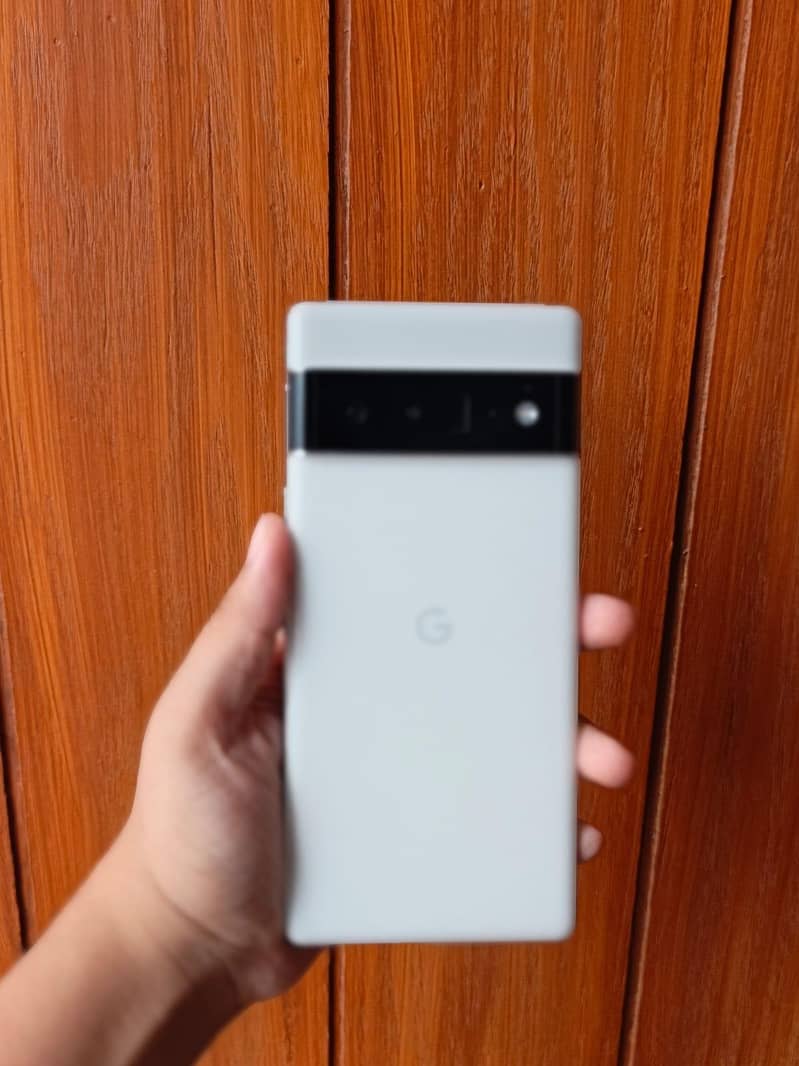 Google Pixel 6 Pro 1