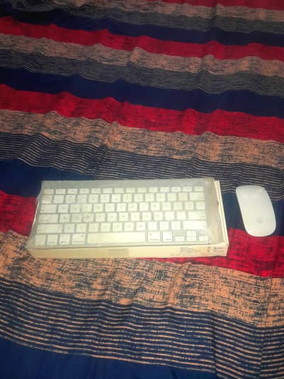 Apple Keyboard A1314 + Apple Mouse a1296