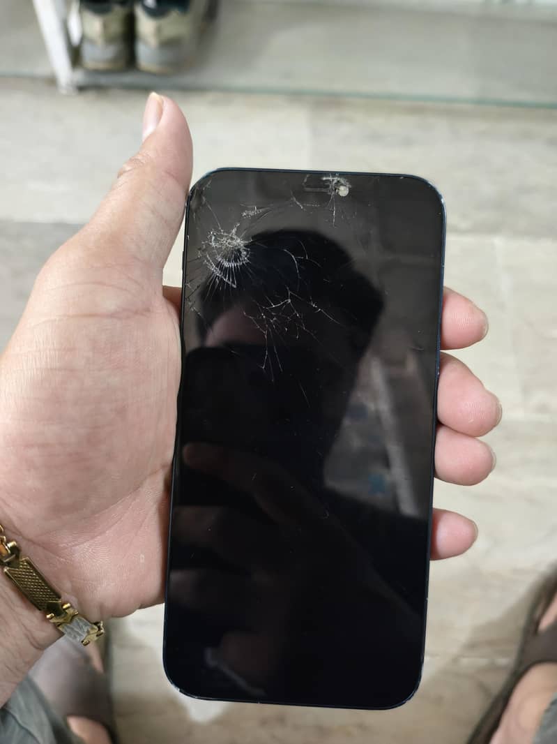 Apple iPhone 12 1