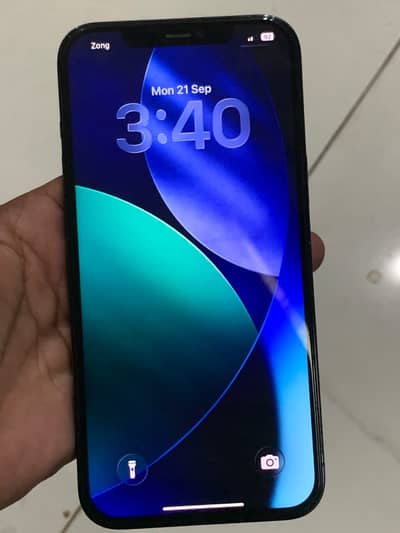 Apple iPhone 12 Pro Max