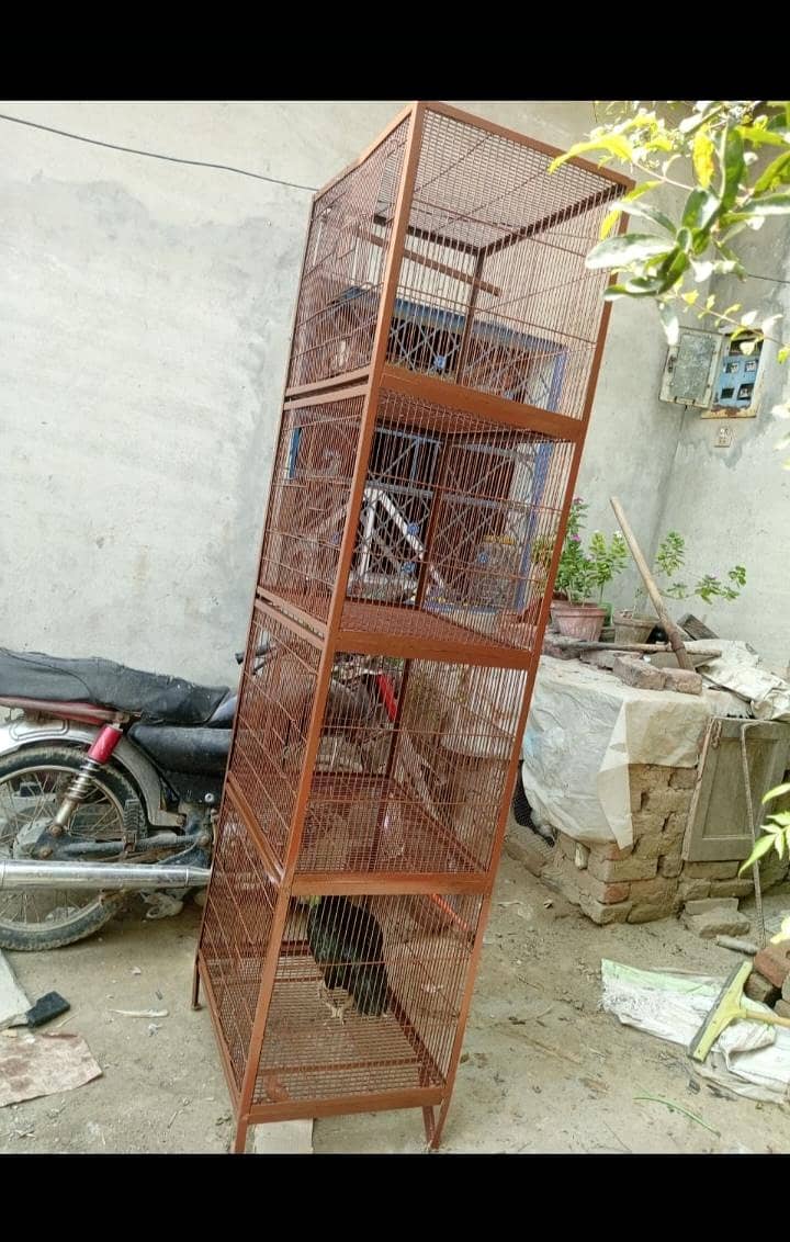 پنجرا فور سے 1