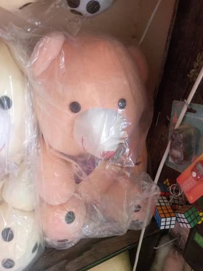valwet staff taddy bear