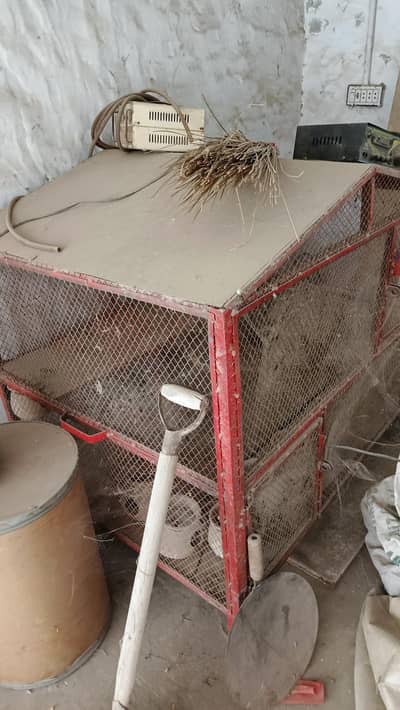 birds pinjra for sale